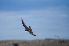 DSC_7494.jpg