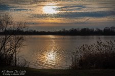 _DSC8008 low res.jpg