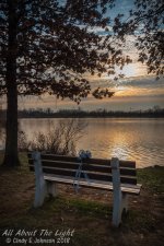 _DSC8014 low res.jpg