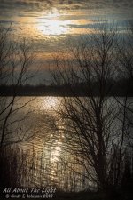 _DSC8004 low res.jpg