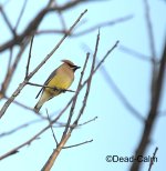 CW N DSC_7647.jpg
