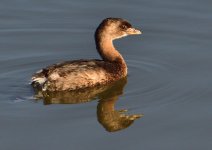 _ROY7276_00001.jpg