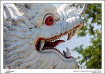 dragon-head.jpg
