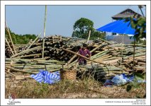 urban-Thailand-8.jpg