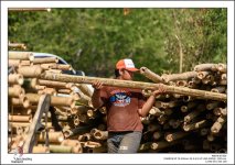 urban-Thailand-11.jpg