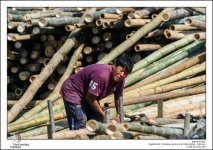 urban-Thailand-13.jpg