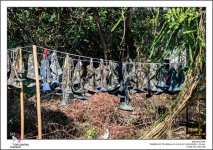 urban-Thailand-14.jpg