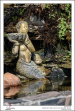 urban-Thailand-19.jpg