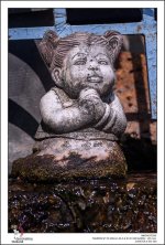 urban-Thailand-21.jpg