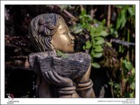 urban-Thailand-22.jpg