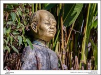 urban-Thailand-23.jpg