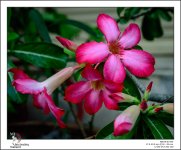 reds-1.jpg