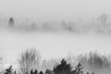 D72_5896.jpg