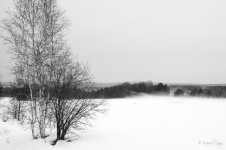 DSC_6499.jpg