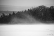 DSC_6504.jpg