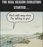 evolution.jpg