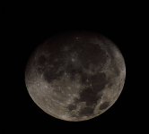 _ROY7739_00001.jpg