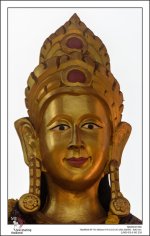head-1-2.jpg