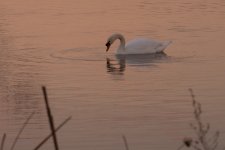 RLW_6360.jpg