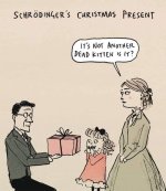 Schroedinger.jpg