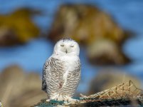 DSC_9577.jpg