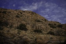 12-25-2018-cr_7508680-ON1.jpg