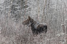 _IH83001_DxO.jpg