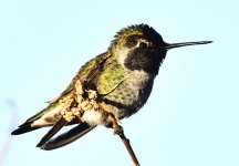 _ROY8622_00001.jpg