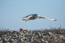 DSC_0873.jpg