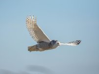 DSC_0877.jpg