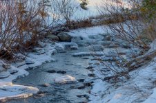 DSC_6589.jpg