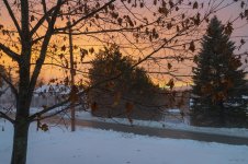 DSC_6510.jpg