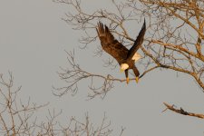 RLW_6496.jpg