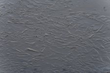_ROY9150_00001.jpg