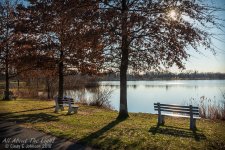 _DSC8370 low res.jpg