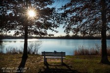 _DSC8373 low res.jpg