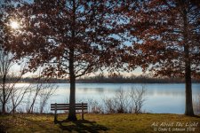 _DSC8374 low res.jpg