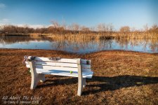 _DSC8391 low res.jpg