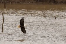 RLW_6709.jpg