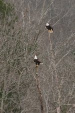 RLW_6687.jpg