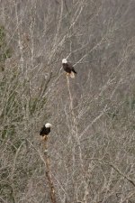 RLW_6689.jpg