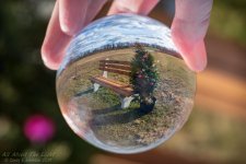 _DSC8427 low res.jpg