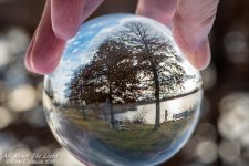 _DSC8531 low res.jpg