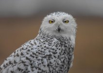 DSC_1659.jpg