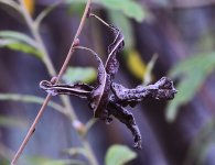 _ROY9667_00001.jpg