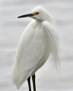_ROY9919_00001.jpg