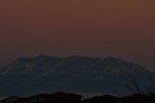 _ROY0102_00001_01.jpg