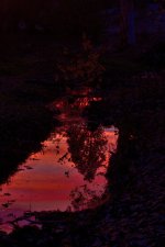 _ROY0179_00001.jpg