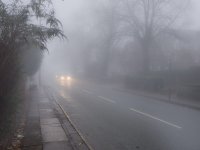 PC060743.jpg