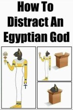 cat.jpg